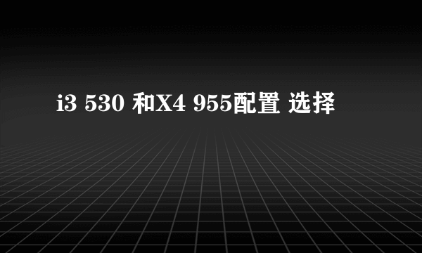 i3 530 和X4 955配置 选择