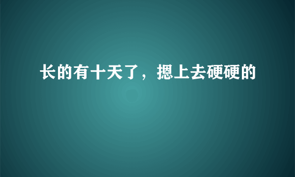 长的有十天了，摁上去硬硬的