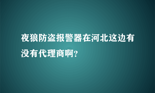 夜狼防盗报警器在河北这边有没有代理商啊？