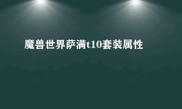 魔兽世界萨满t10套装属性