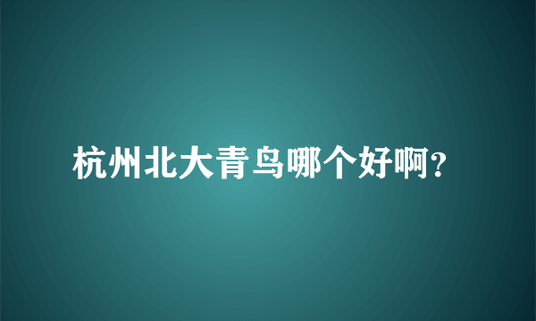 杭州北大青鸟哪个好啊？