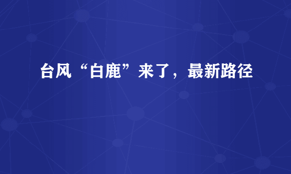 台风“白鹿”来了，最新路径