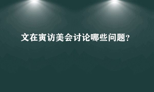 文在寅访美会讨论哪些问题？