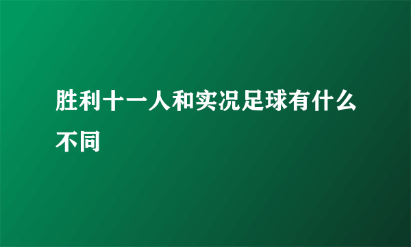 胜利十一人和实况足球有什么不同