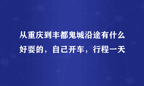 从重庆到丰都鬼城沿途有什么好耍的，自己开车，行程一天