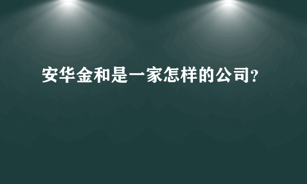 安华金和是一家怎样的公司？