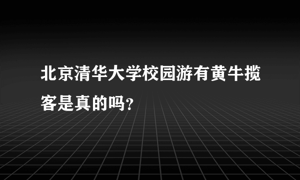 北京清华大学校园游有黄牛揽客是真的吗？