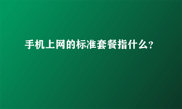 手机上网的标准套餐指什么？