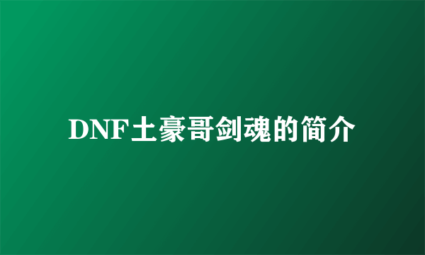 DNF土豪哥剑魂的简介