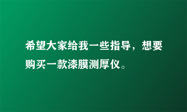 希望大家给我一些指导，想要购买一款漆膜测厚仪。