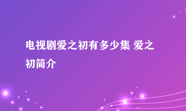 电视剧爱之初有多少集 爱之初简介