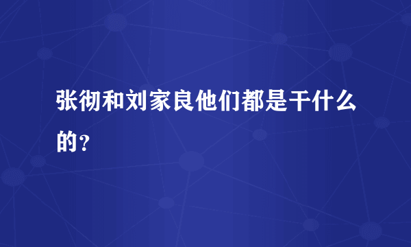 张彻和刘家良他们都是干什么的？