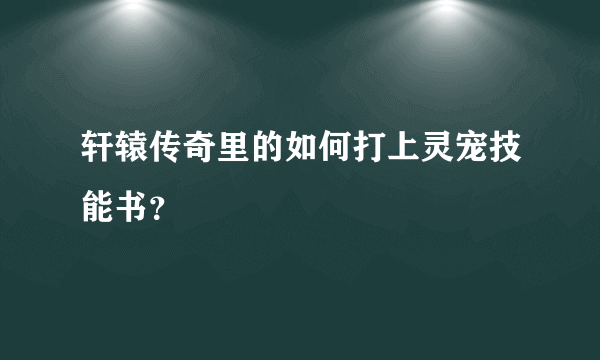 轩辕传奇里的如何打上灵宠技能书？