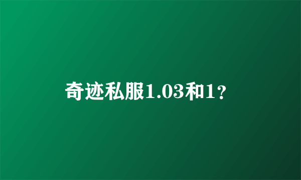 奇迹私服1.03和1？