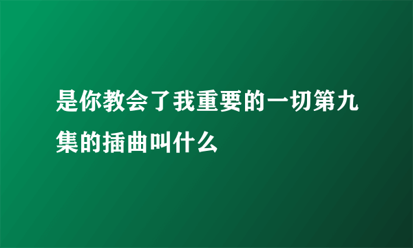 是你教会了我重要的一切第九集的插曲叫什么