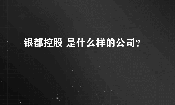 银都控股 是什么样的公司？