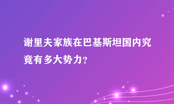 谢里夫家族在巴基斯坦国内究竟有多大势力？