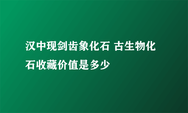 汉中现剑齿象化石 古生物化石收藏价值是多少