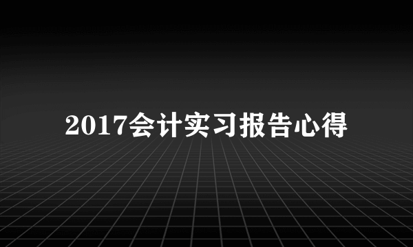 2017会计实习报告心得