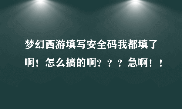 梦幻西游填写安全码我都填了啊！怎么搞的啊？？？急啊！！