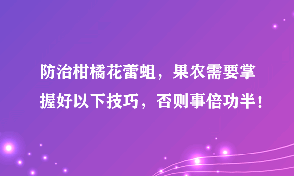 防治柑橘花蕾蛆，果农需要掌握好以下技巧，否则事倍功半！