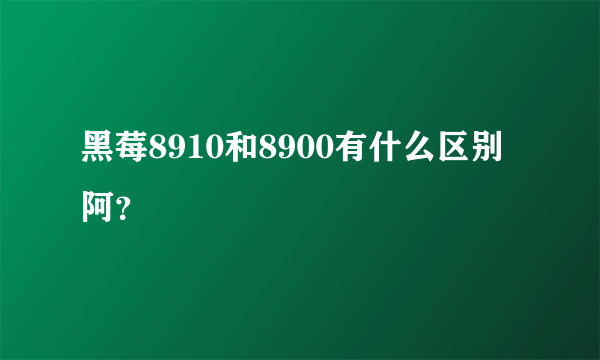 黑莓8910和8900有什么区别阿？