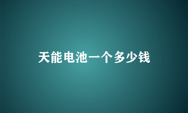 天能电池一个多少钱