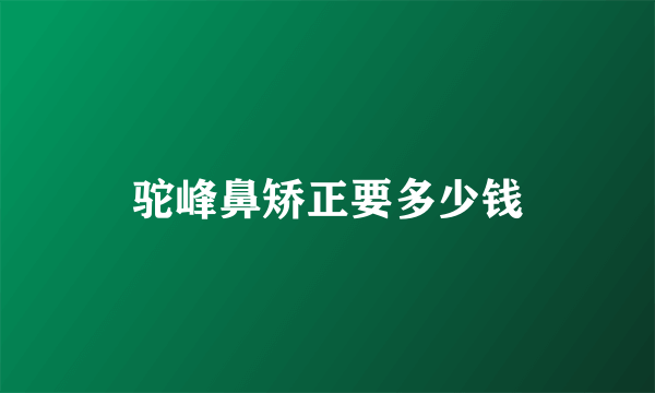 驼峰鼻矫正要多少钱