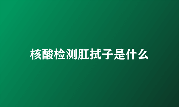 核酸检测肛拭子是什么