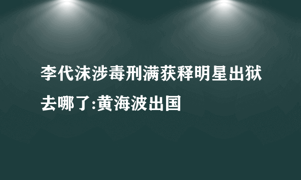 李代沫涉毒刑满获释明星出狱去哪了:黄海波出国