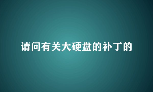 请问有关大硬盘的补丁的