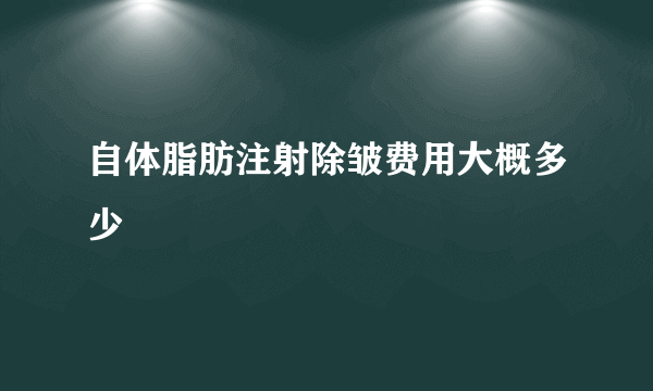 自体脂肪注射除皱费用大概多少