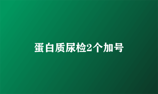 蛋白质尿检2个加号