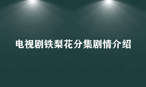 电视剧铁梨花分集剧情介绍