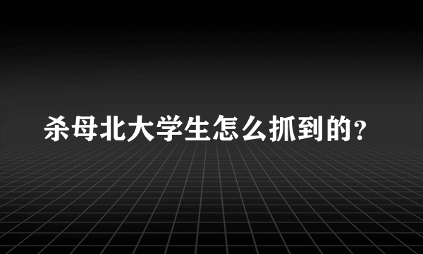 杀母北大学生怎么抓到的？