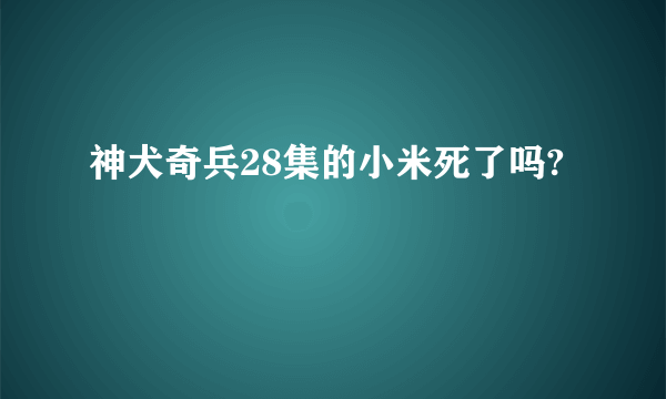 神犬奇兵28集的小米死了吗?