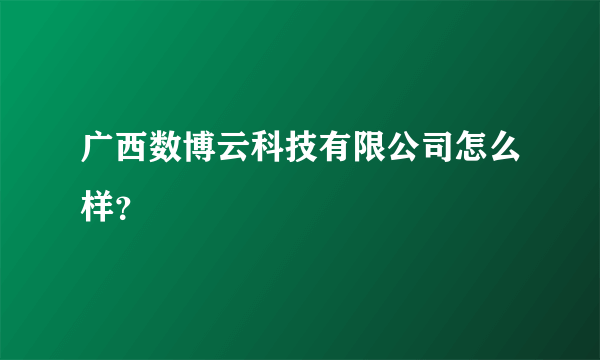 广西数博云科技有限公司怎么样？