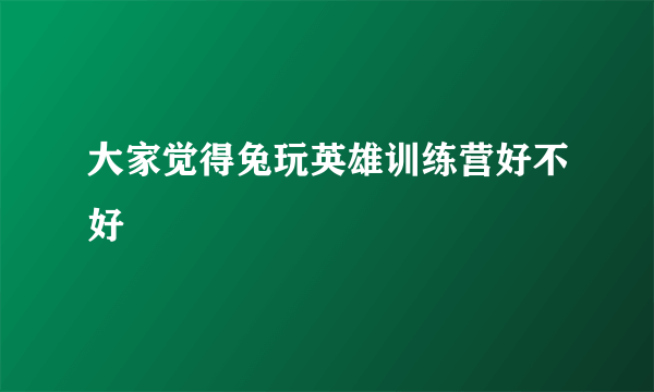 大家觉得兔玩英雄训练营好不好