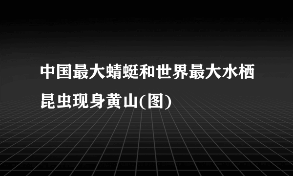 中国最大蜻蜓和世界最大水栖昆虫现身黄山(图)