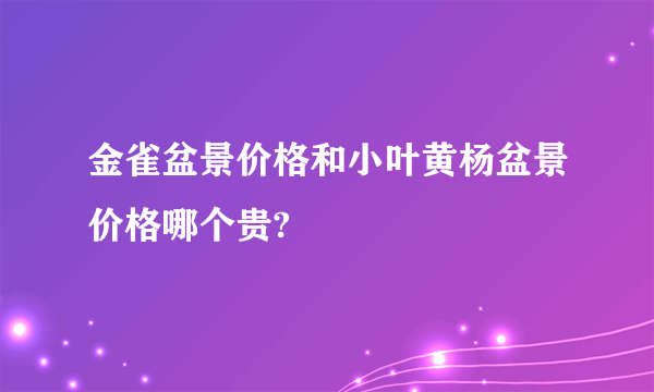 金雀盆景价格和小叶黄杨盆景价格哪个贵?