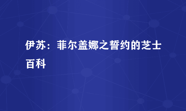 伊苏：菲尔盖娜之誓约的芝士百科