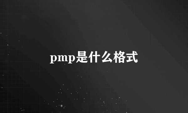 pmp是什么格式