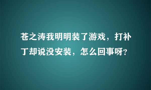 苍之涛我明明装了游戏，打补丁却说没安装，怎么回事呀？