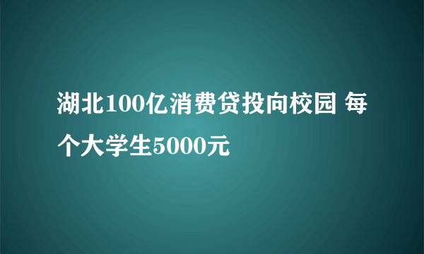 湖北100亿消费贷投向校园 每个大学生5000元