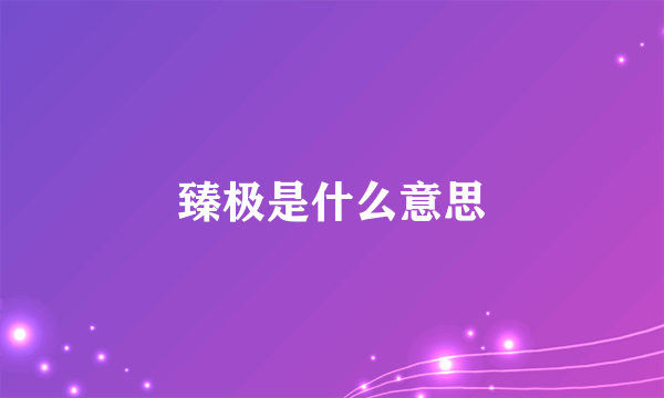 臻极是什么意思