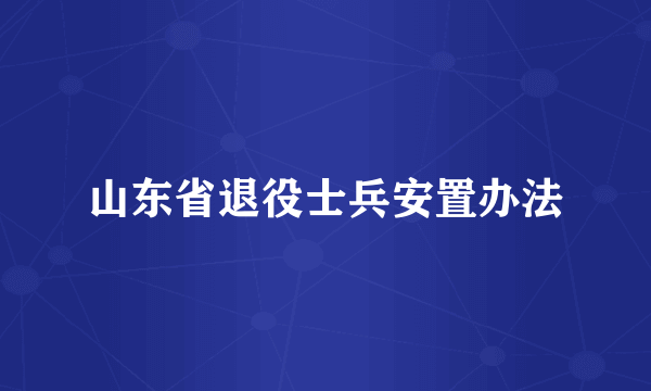 山东省退役士兵安置办法