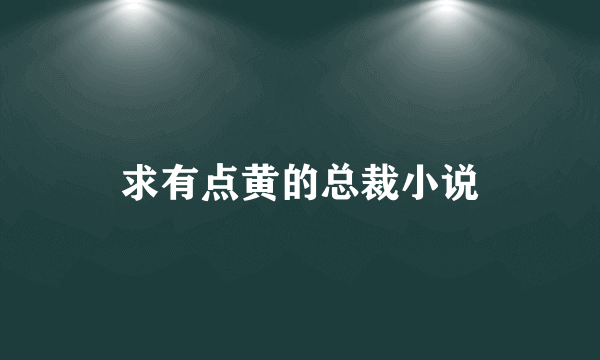 求有点黄的总裁小说