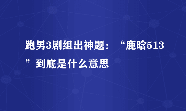 跑男3剧组出神题：“鹿晗513”到底是什么意思