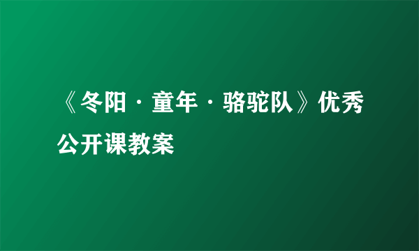 《冬阳·童年·骆驼队》优秀公开课教案