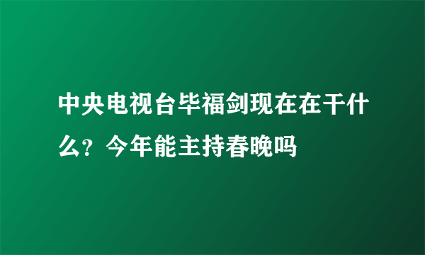 中央电视台毕福剑现在在干什么？今年能主持春晚吗